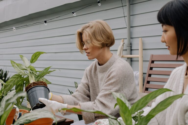 Tips for Creating a Sustainable Home Garden Year-Round